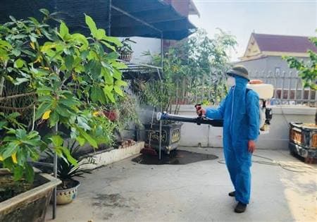 Xử lý triệt để chùm ca bệnh sốt xuất huyết tại Tranh Đấu.