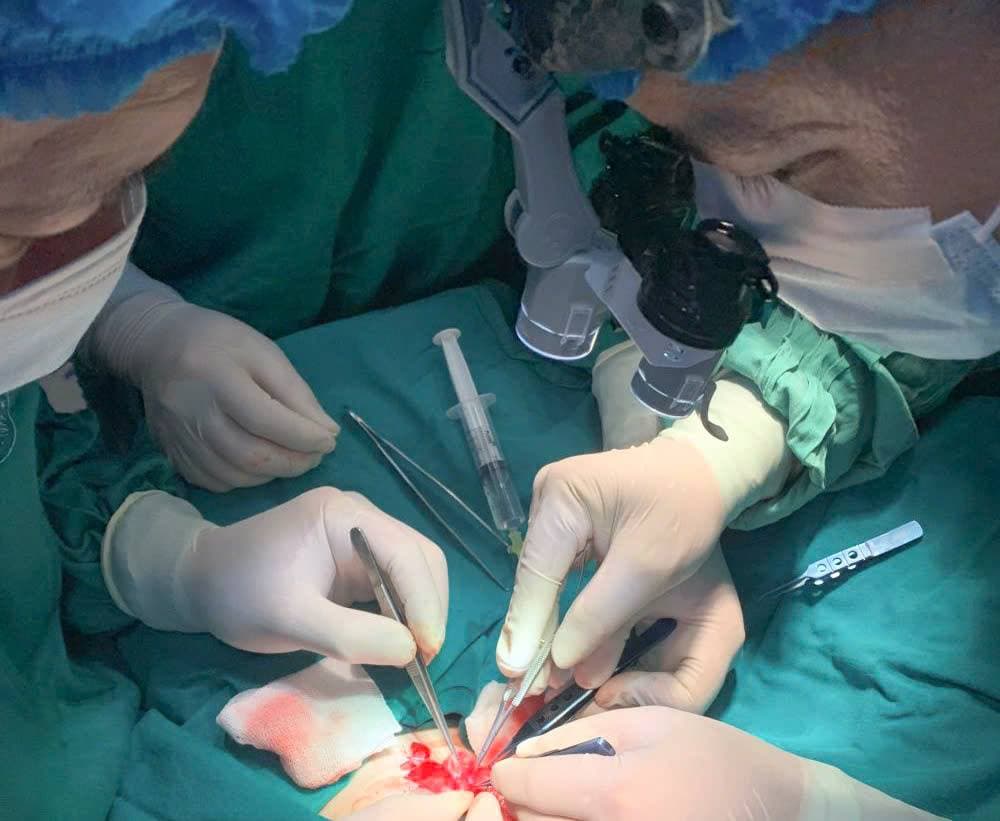 Cấp cứu nối thành công dương vật cho cháu bé bị đứt rời.