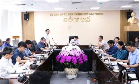 Giám sát công tác phòng, chống buôn lậu, gian lận thương mại và hàng giả.