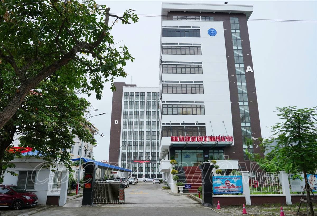 CDC Hải Phòng thích ứng, hòa nhập sau thực hiện chính quyền 2 cấp
