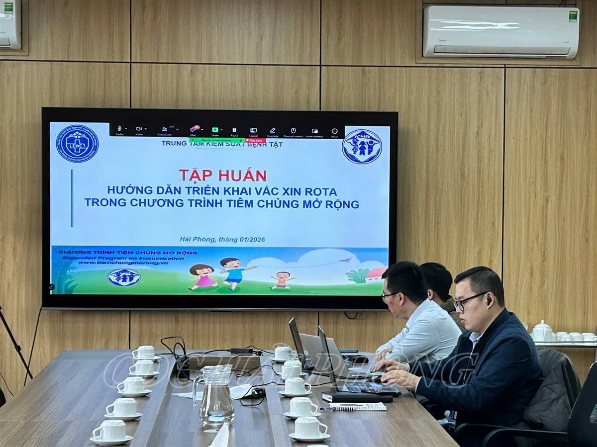 Hải Phòng tập huấn trực tuyến triển khai vắc xin Rota trong Chương trình Tiêm chủng mở rộng