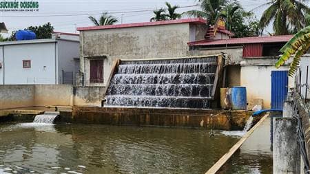 Triển khai Tuần lễ Quốc gia Nước sạch và Vệ sinh môi trường năm 2026: Nâng cao nhận thức, bảo vệ sức khỏe cộng đồng