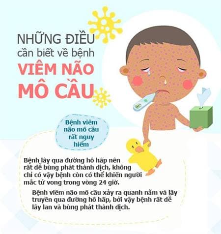 BỆNH NÃO MÔ CẦU