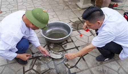 Bệnh sốt xuất huyết Dengue nguy cơ ở mức cao