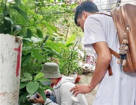 Bệnh sốt xuất huyết tăng nhẹ.