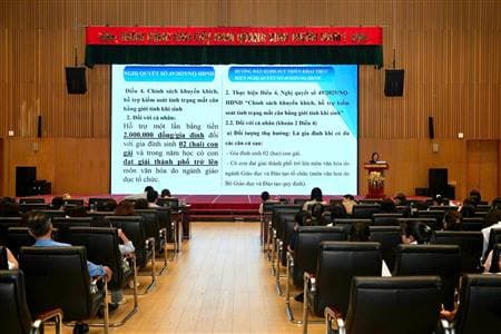 Hải Phòng triển khai các chính sách mới về Dân số và Phát triển