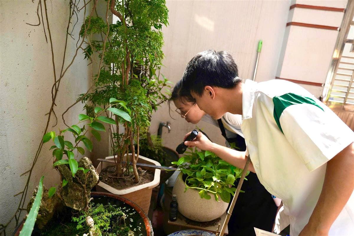 Hải Phòng: Giám sát véc tơ sốt xuất huyết tại phường Lê Chân và phường An Biên